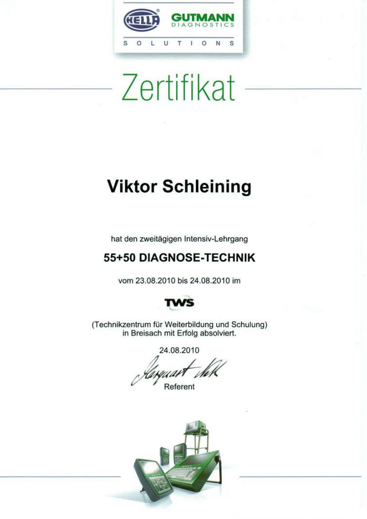 2010-Diagnosetechnik